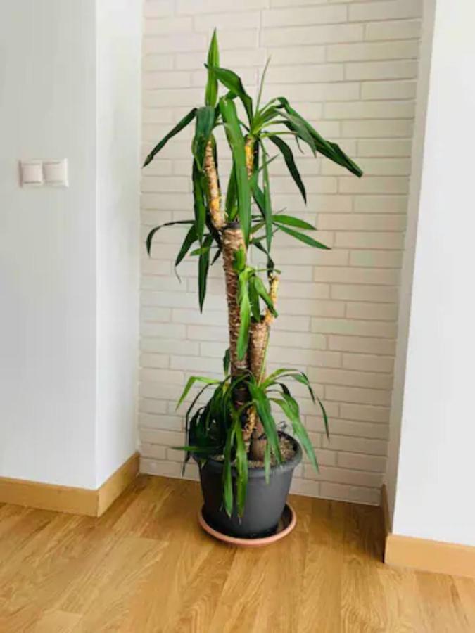 Apartmán Puerto Banus Marbella Exteriér fotografie
